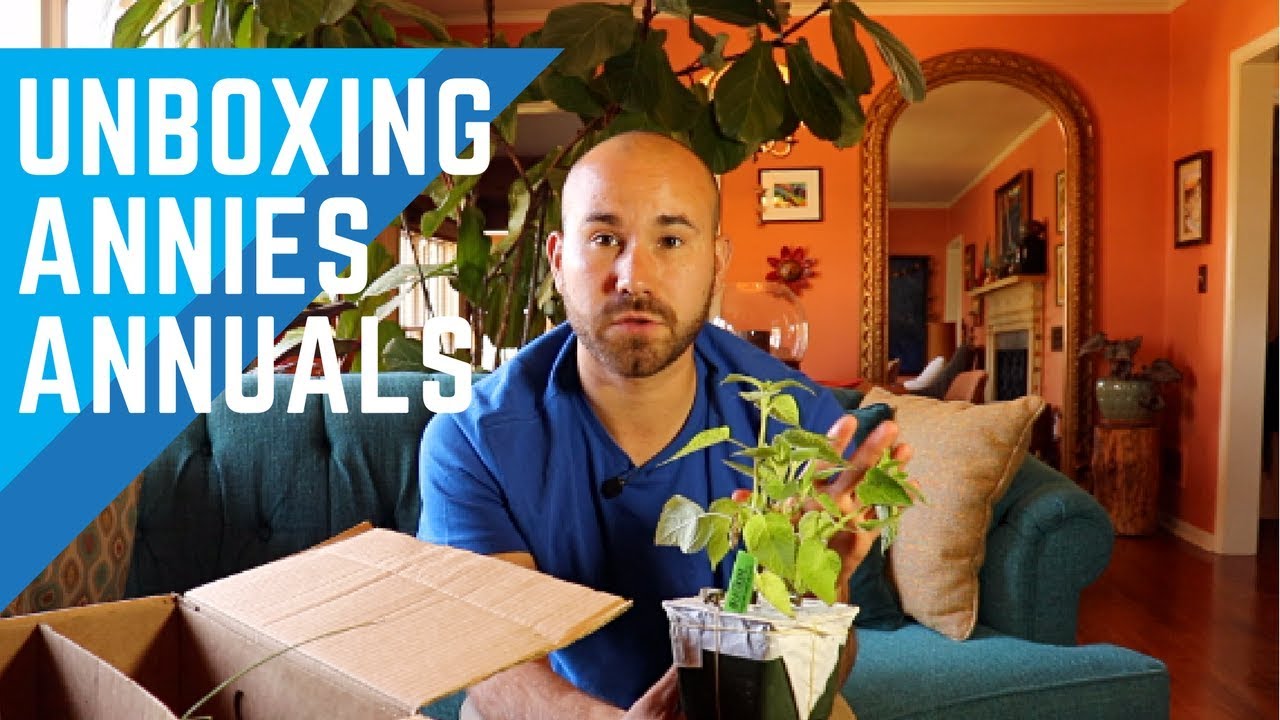 Unboxing And Reviewing Annies Annuals 🌸📦 / Colorful Gardener