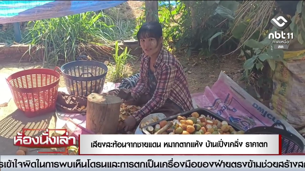 เสียงสะท้อนจากชายแดน หมากตากแห้งบ้านเปิ่งเคลิ่งราคาตก