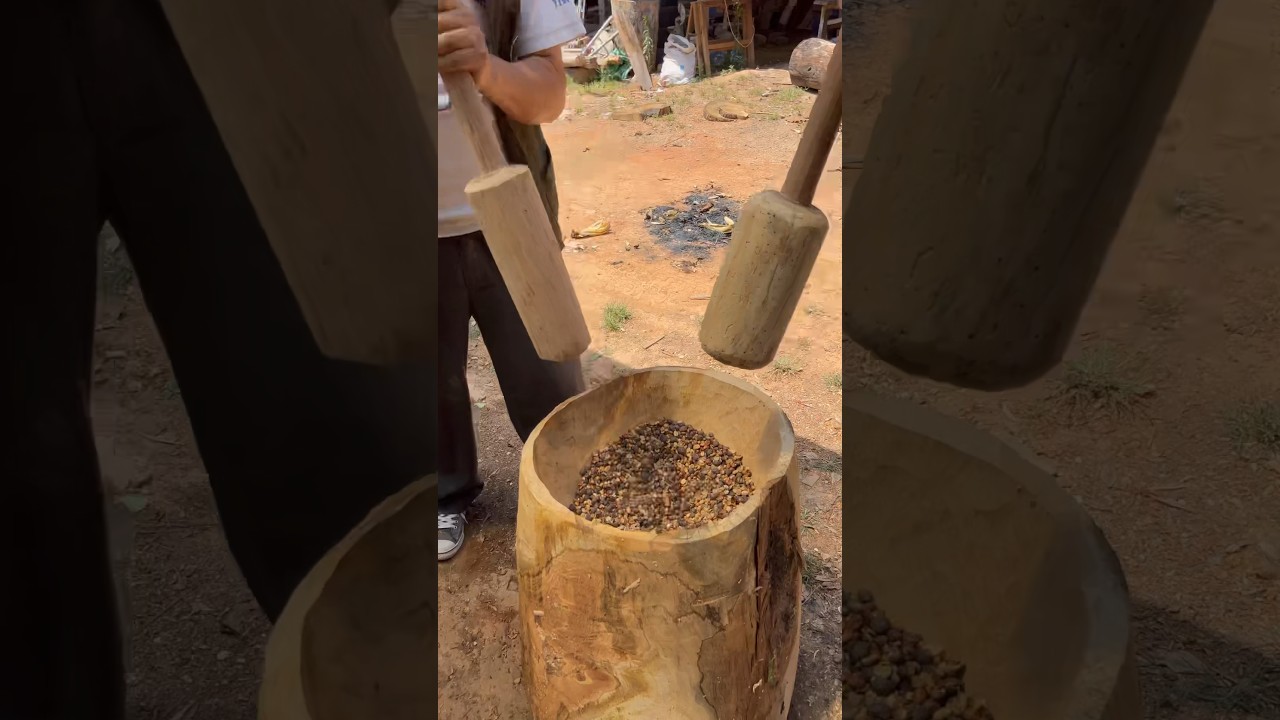 Pelando café con mortero y pilón  como lo hacían nuestros ante pasados 