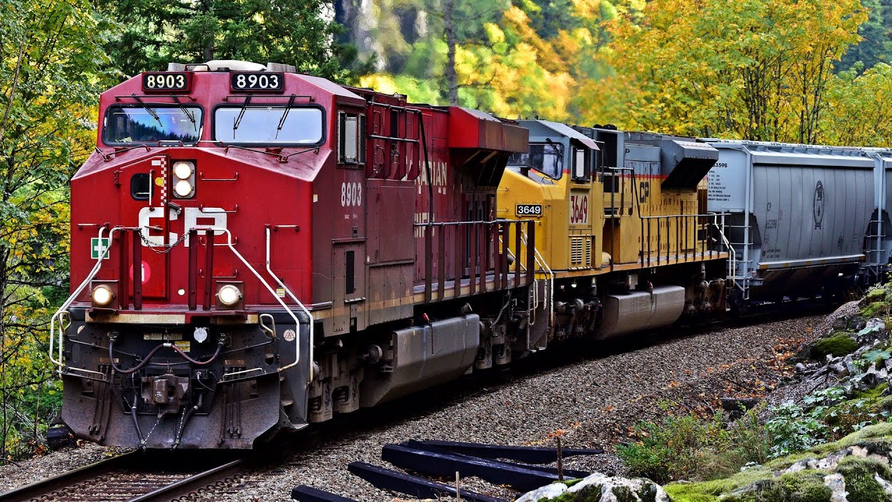 RARE EX UP SD9043MAC 