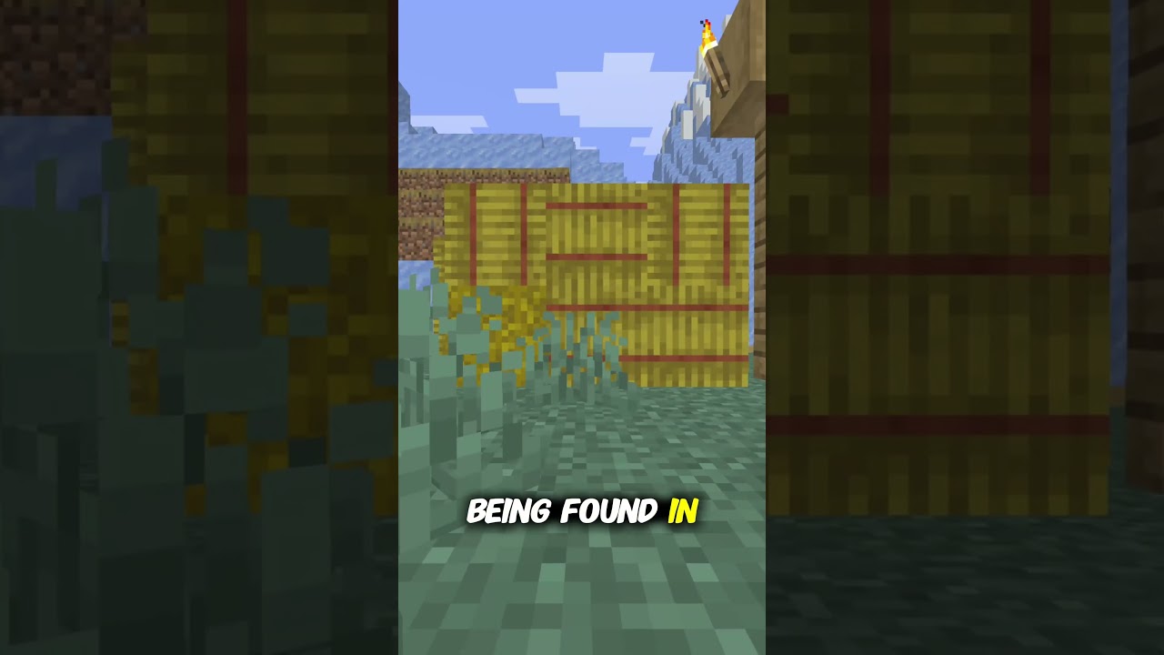 One Fun Fact About Every Item In Minecraft Hay Bales