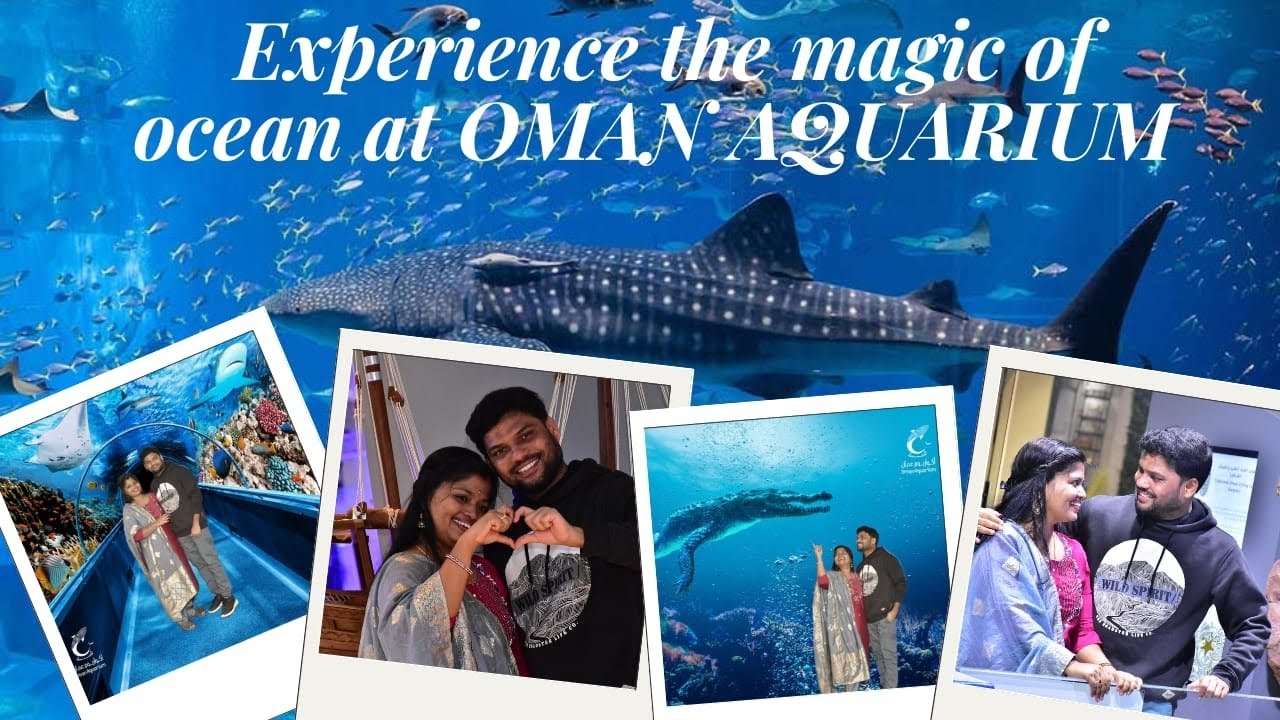 Aquarium in Mall of Muscat #vlogs #omanvlog #oman #omantour #trending #viralvideo #video #subscribe