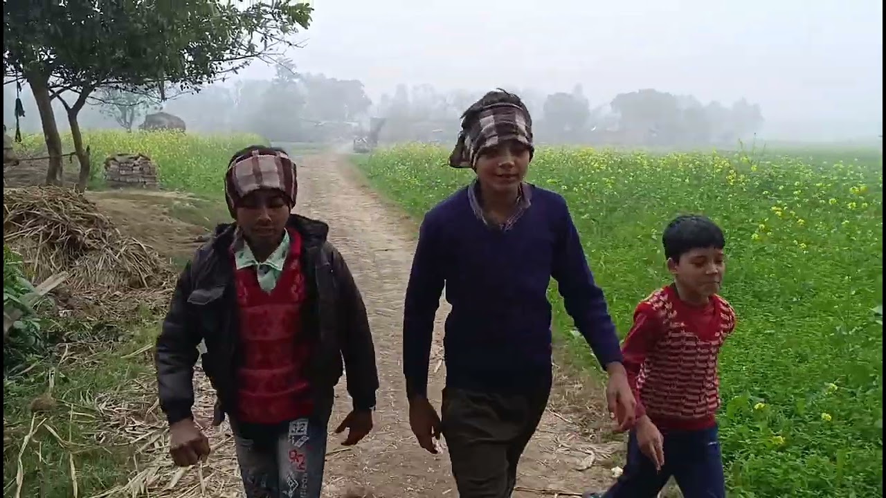 Bhau Ki Lakadiyon Ki Chori  Part 1 