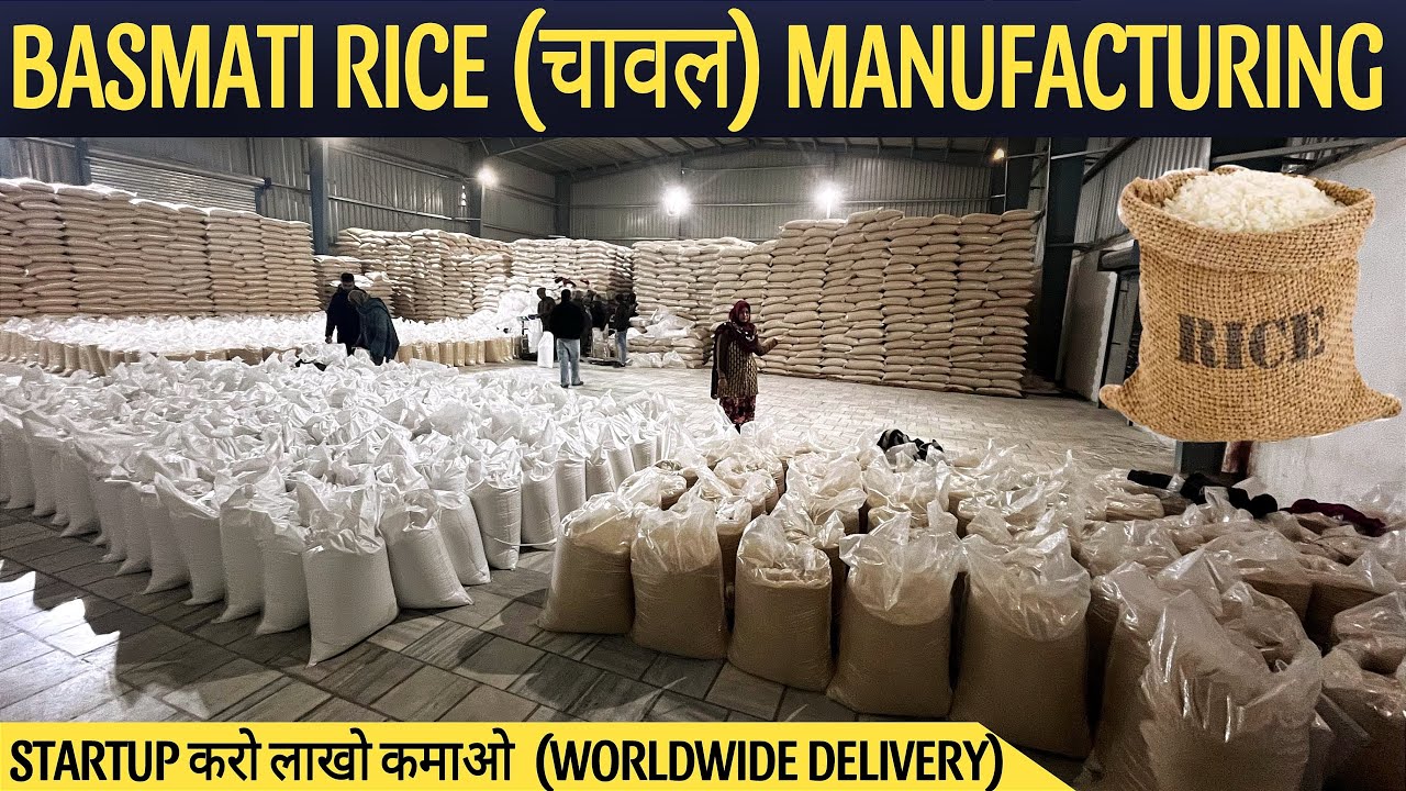 BIGGEST RICE MANUFACTURING MILL IN PUNJAB | CHEAPEST PRICE IMPORTED QUALITY BASMATI RICE