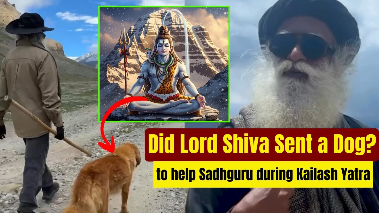 Did Lord Shiva Send a Dog to Help Sadhguru during Kailash Yatra ? |  Ride with Sadhguru