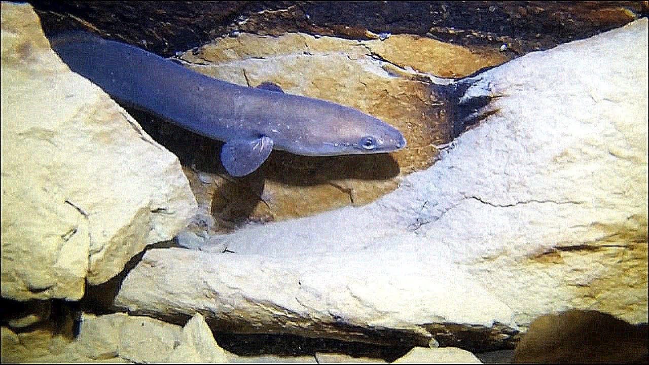 Tauchen im Bodensee - Parkhaus Post Überlingen Vol 3