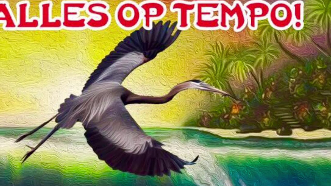 Sabakoe - alles op tempo!