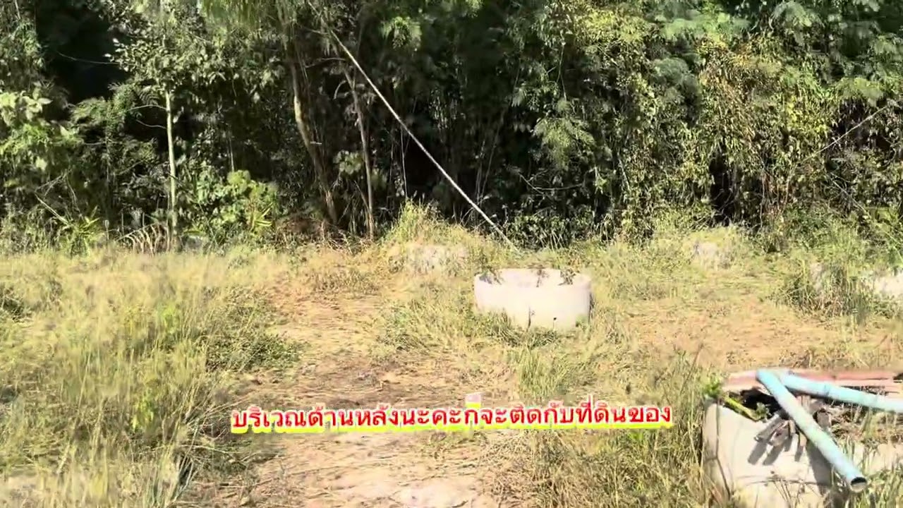 ❌️ให้เช่า❌️บ้านสวนร่มรี่นใกล้ตลาดโพธารามเนื้อที่1ไร่83ตรว.ต.ชำแระอ.โพธารามจ.ราชบุรี