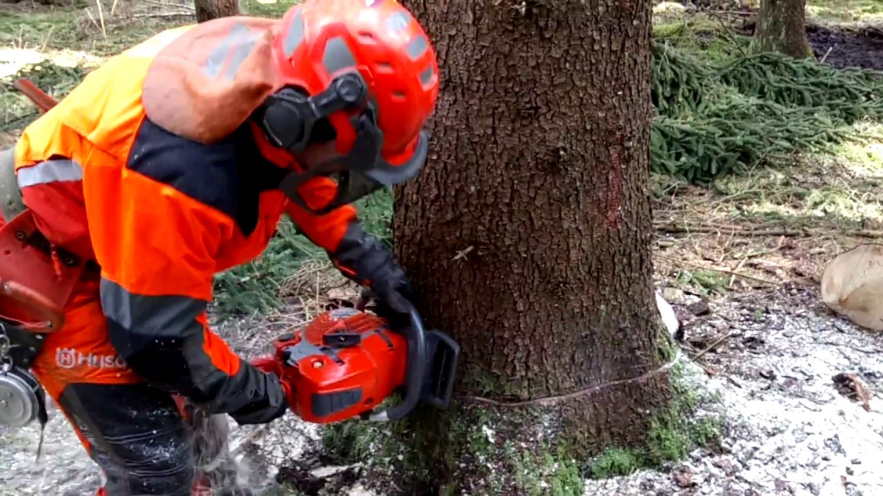 Husqvarna 572XP Chainsaw