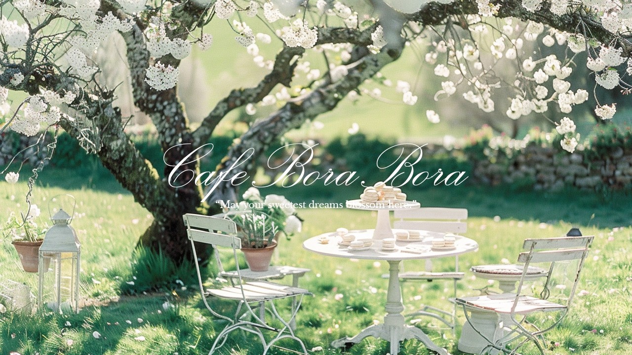 𝑷𝒍𝒂𝒚𝒍𝒊𝒔𝒕 ✦ 봄 햇살이 마카롱보다 달았던 오후..🌸