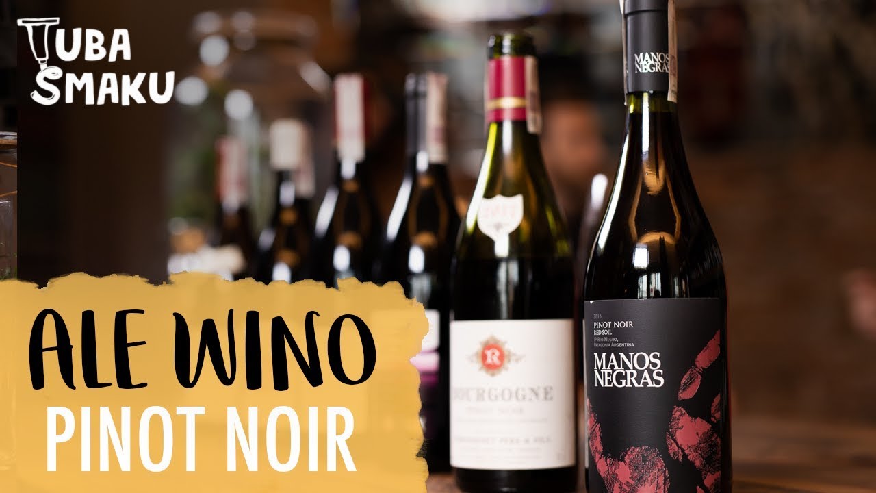 Wino PINOT NOIR - wszystko, co trzeba wiedzieć🍷 | Ale Wino i Tuba Smaku