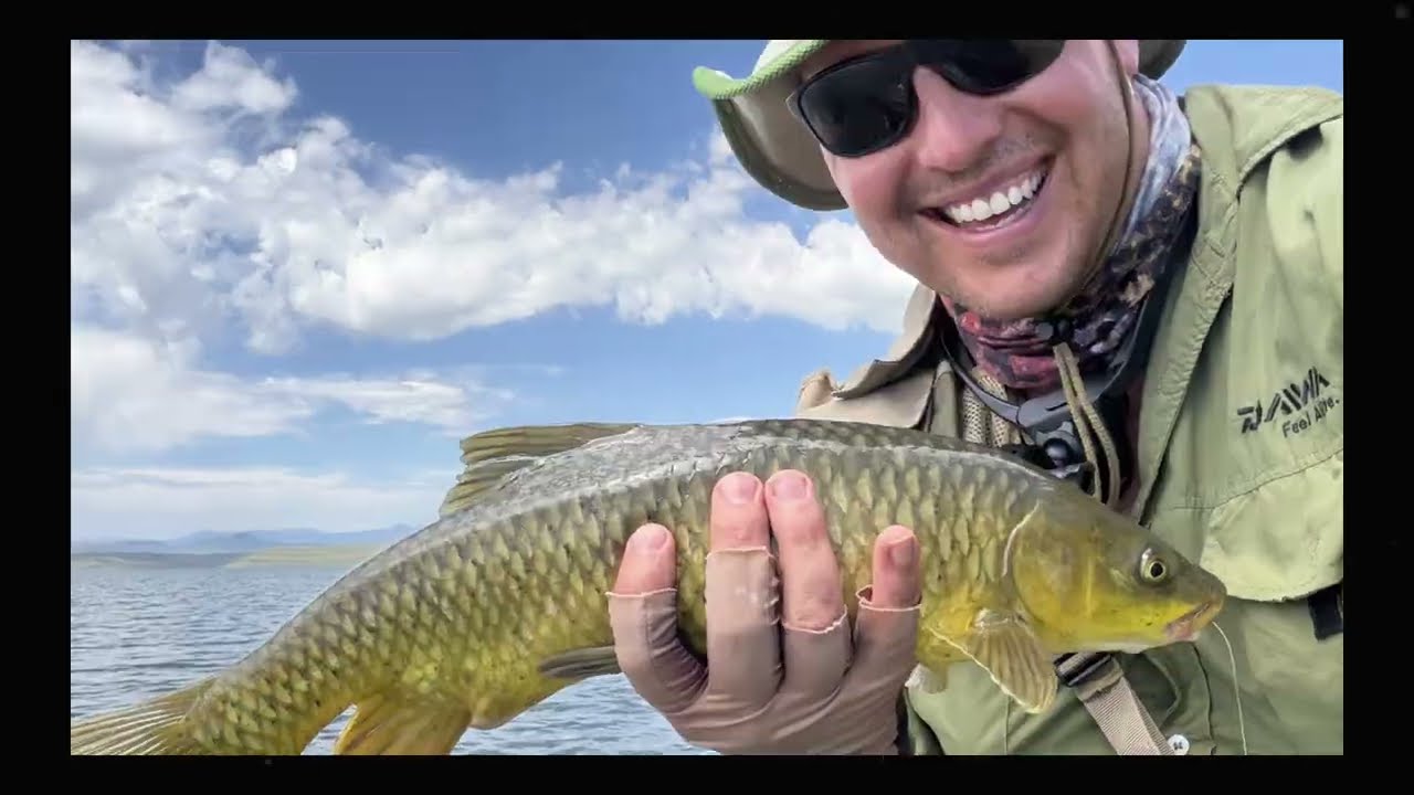 🎣✨ A Quick Trip to the Land of Gold – Sterkfontein Edition! ✨🎣