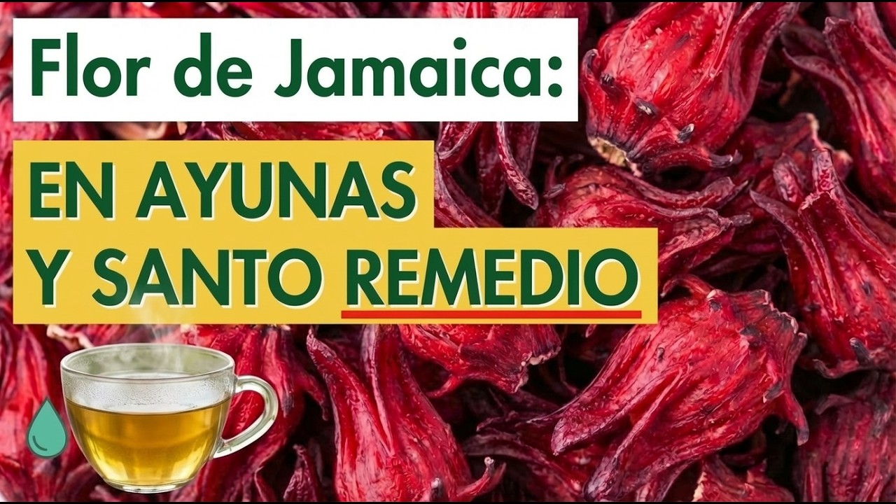 9 BENEFICIOS de la FLOR de JAMAICA 🌺✅ (Propiedades Medicinales, Para Qué Sirve y Cómo Tomarla)