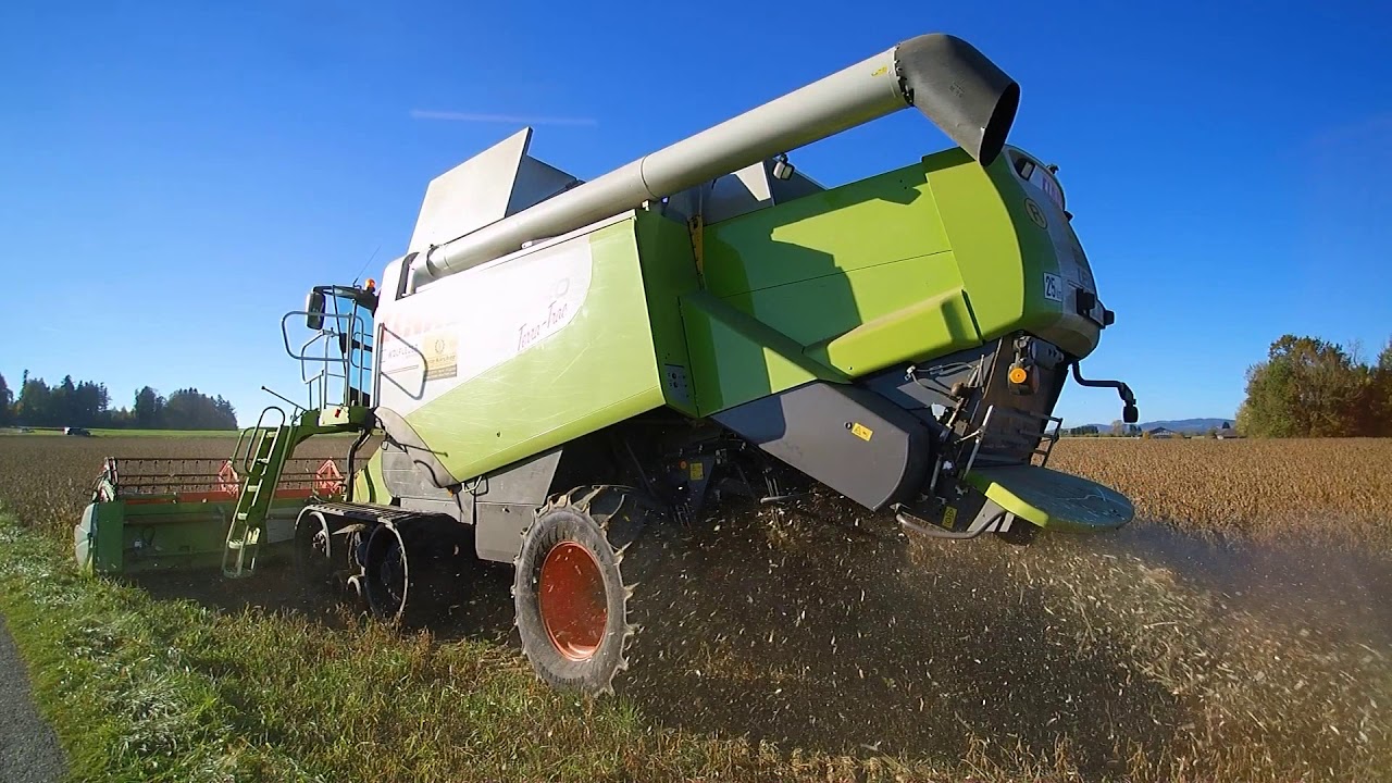 Lu. Kircher bei der Sojaernte mit | Claas Lexion 560 Terra-Trac | Joskin Kipper | Fendt 820,