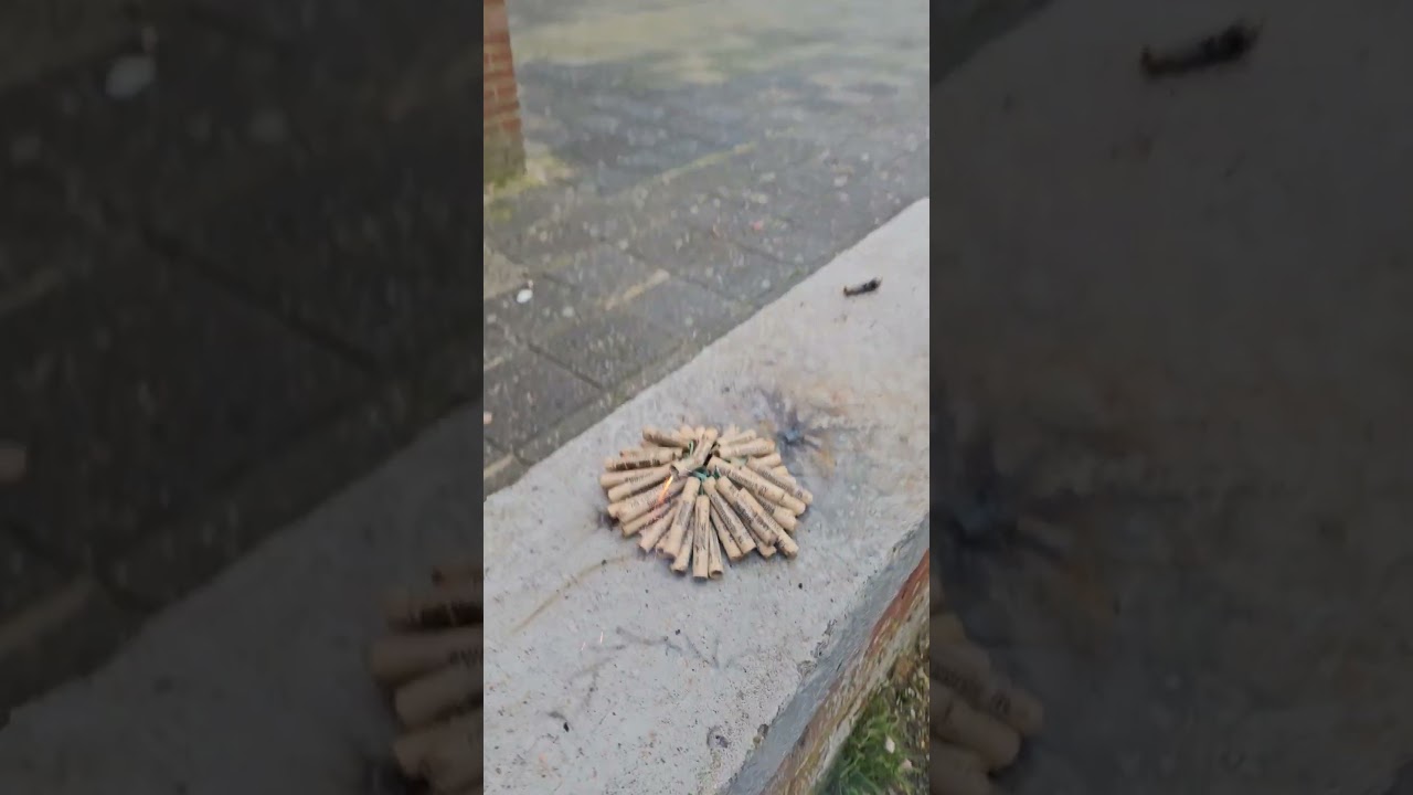 Rotjes project shising#vuurwerk #firework
