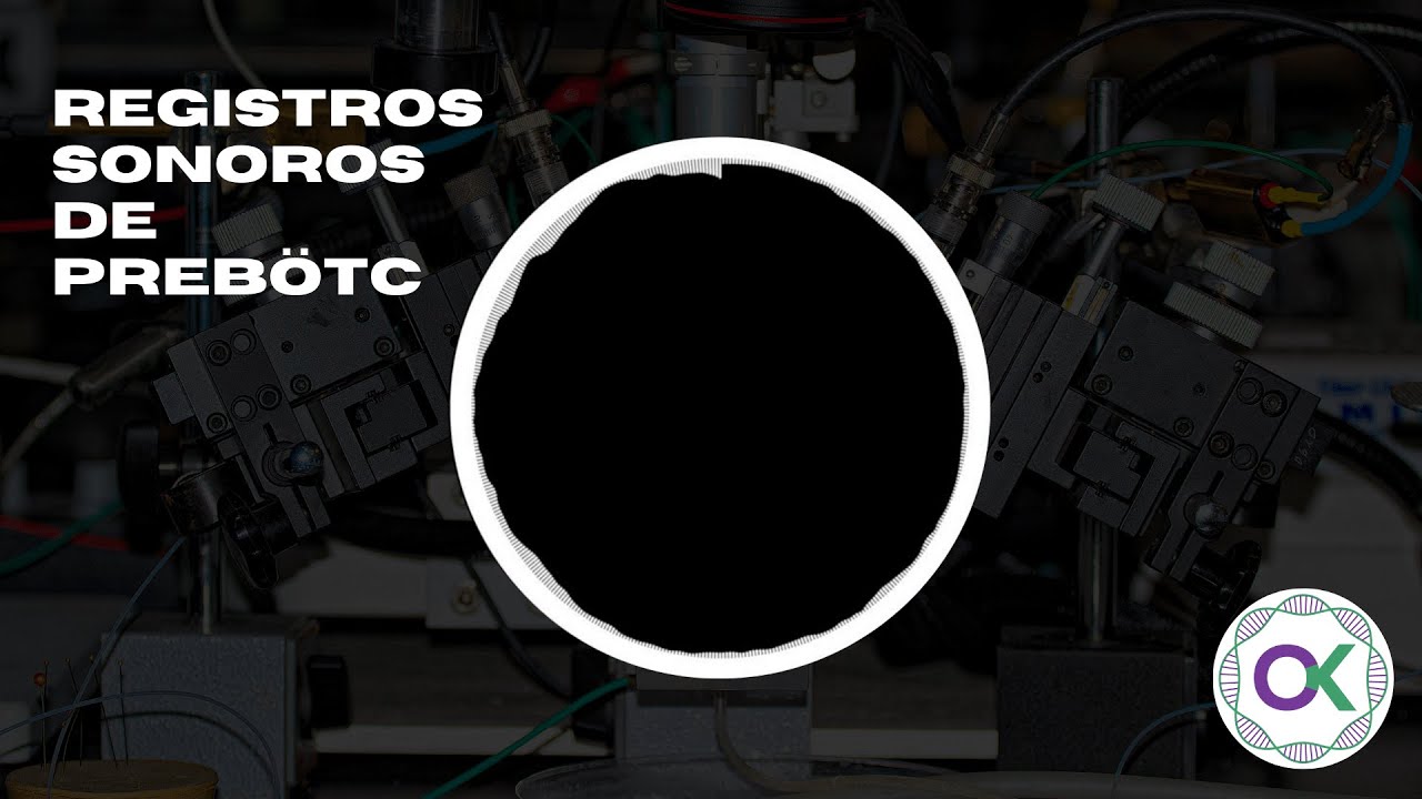 ASMR Educativo: Registros Sonoros de preBötC | Ciencia Ok