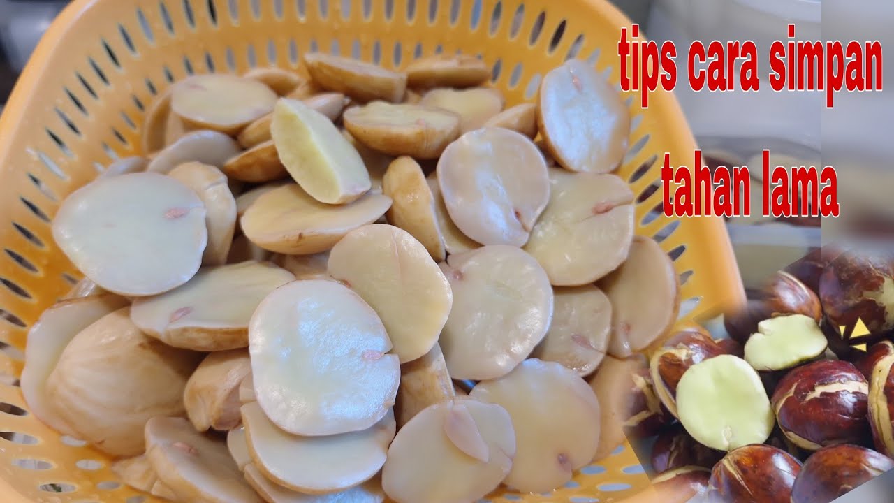 TIPS CARA MENYIMPAN JENGKOL TAHAN LAMA || DENGAN BEGINI BISA MAKAN JENGKOL TIAP BULAN #tips #jengkol