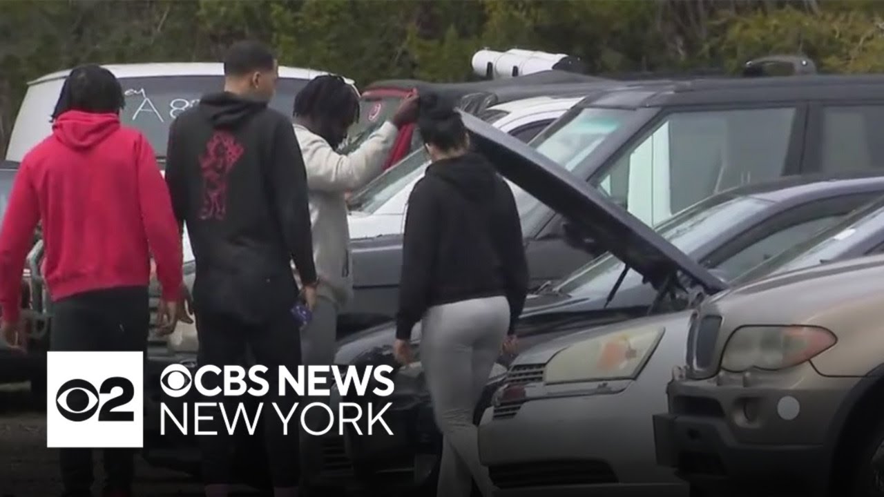 Car shoppers look for deals at Long Island impound auction as tariffs take effect