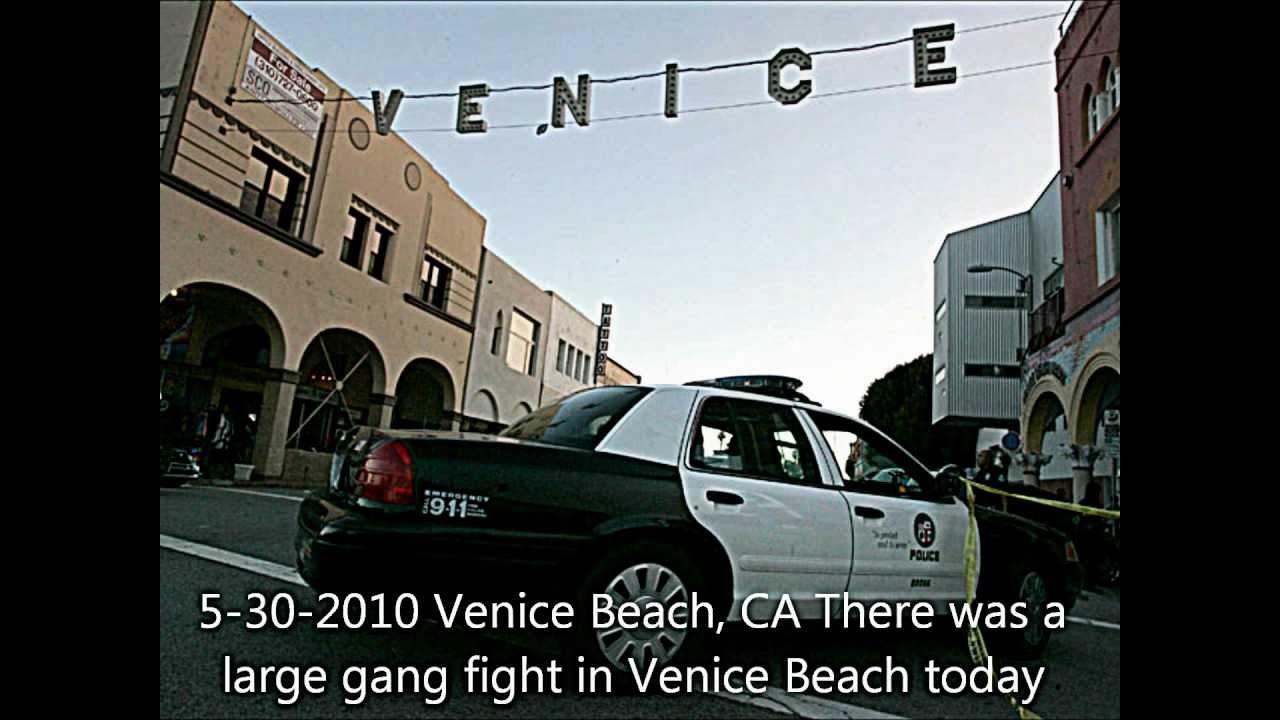 VENICE GANG 