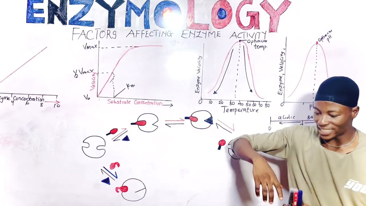 Factors Affecting Enzyme Activity | Enzymology Made Easy