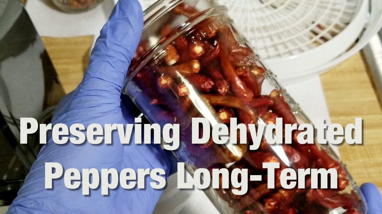 How to preserve your dehydrated peppers forever using the foodsaver vacuum jar sealer attachment