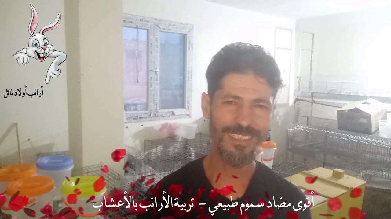 أقوى مضاد سموم طبيعي - التربية بالاعشاب الطبية