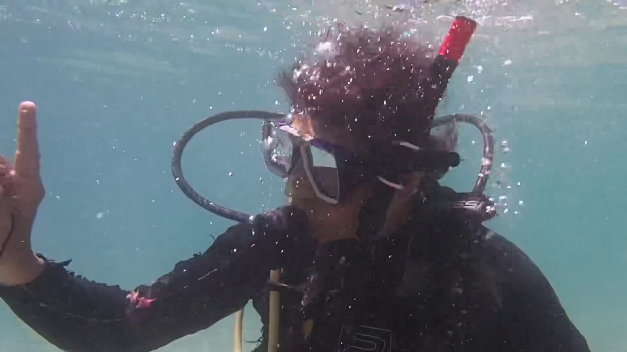 PADI Open Water Diver IPMB UMS Part II