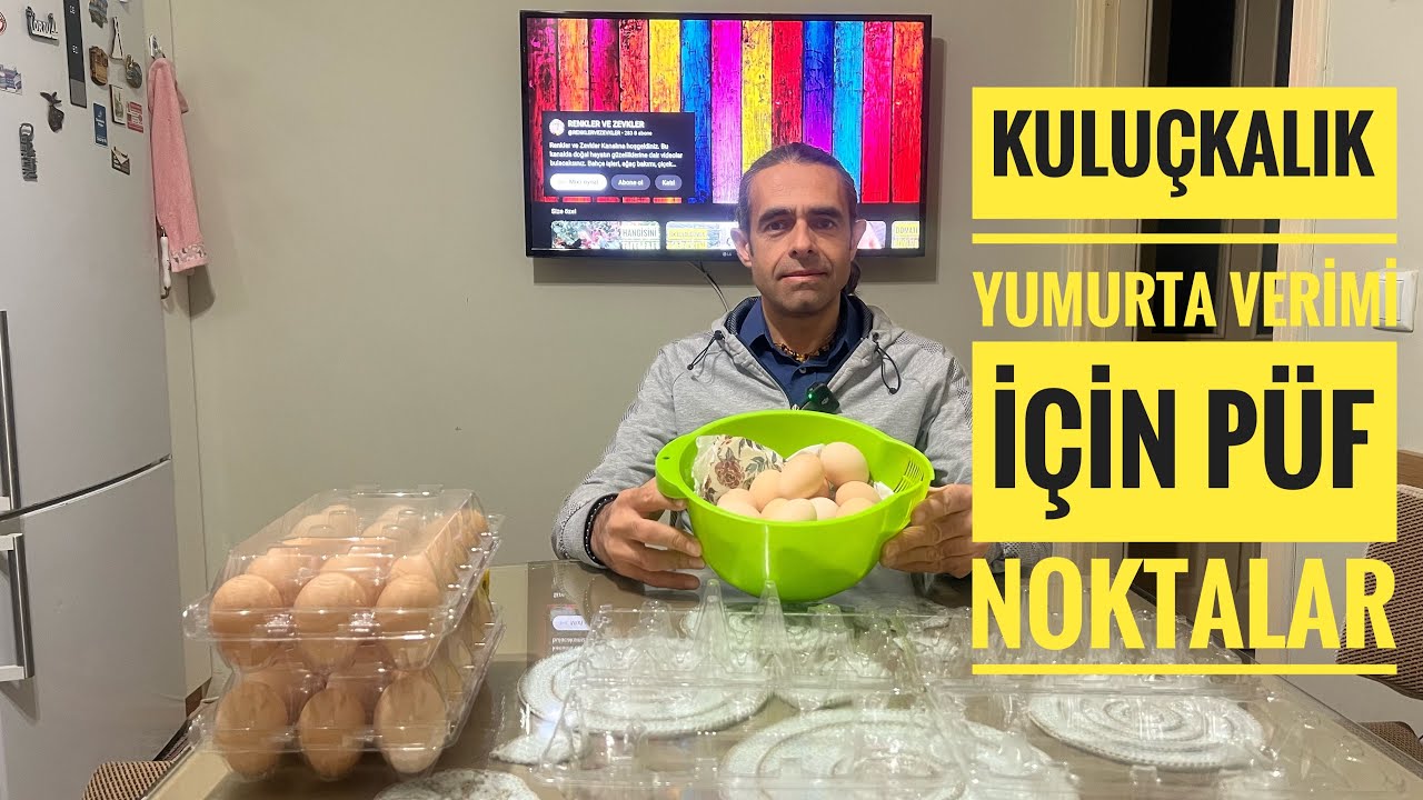 Kuluçkalık yumurtaları nasıl seçiyoruz ve nerede bekletiyoruz?