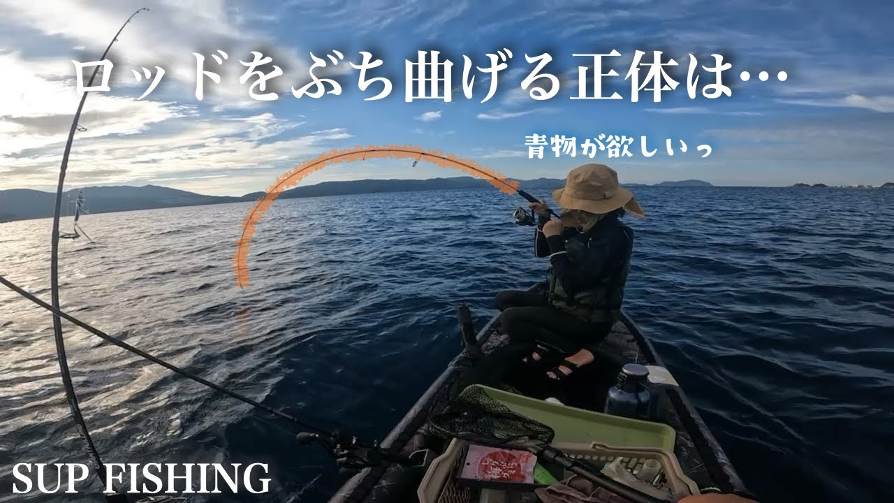 限界ギリギリの爆風の中、ロックフィッシュと青物狙ってサップフィッシング
