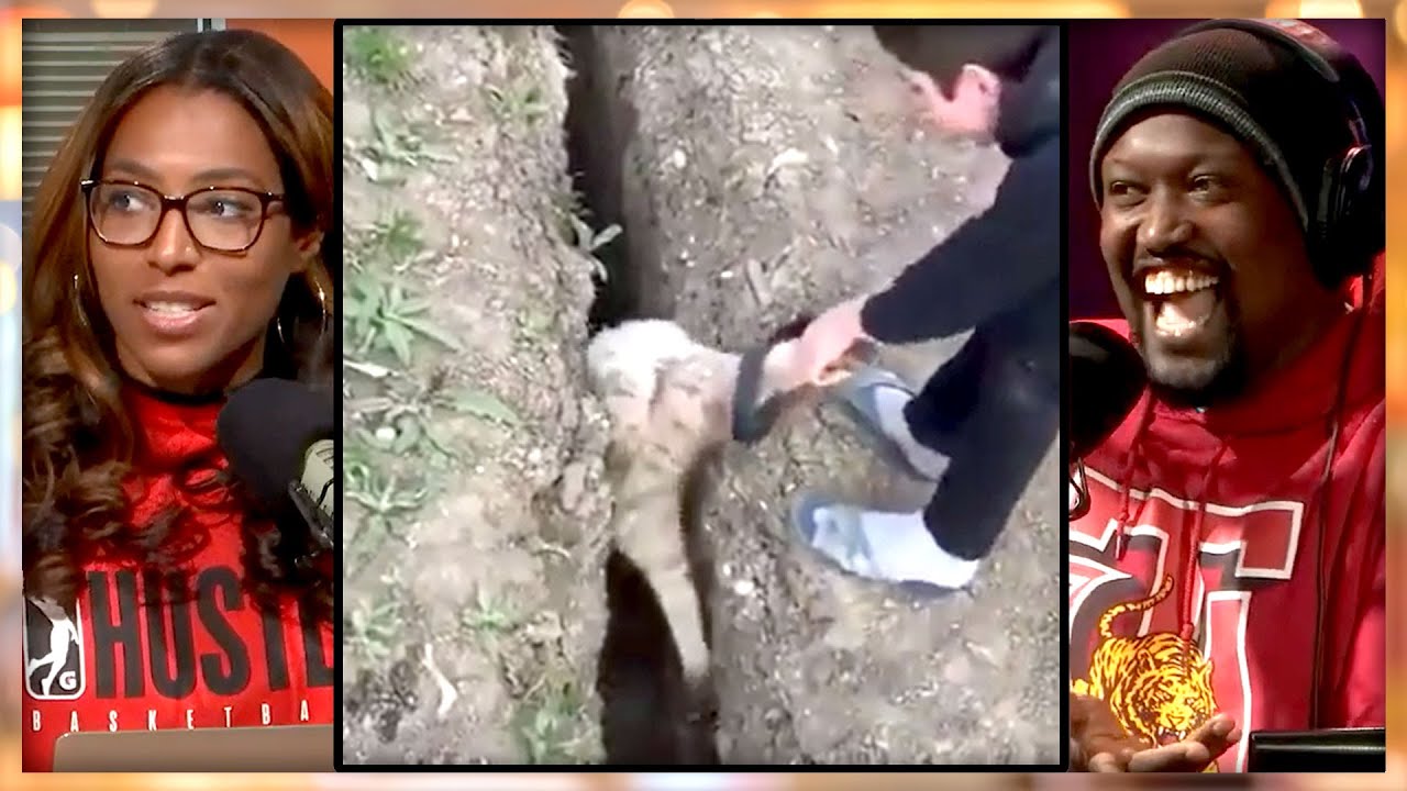 Sheep gets stuck in trench, Twice! *REACTION* | Rise & Grind