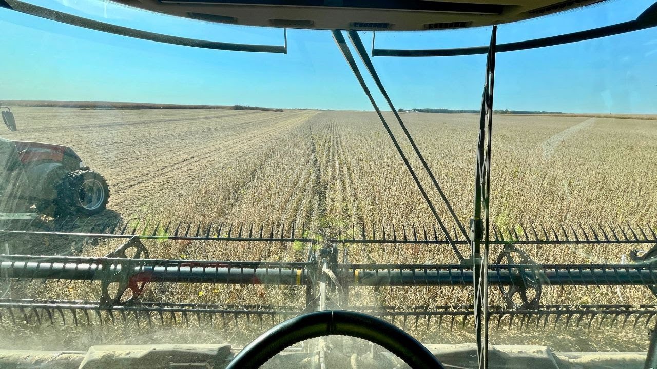 Bean Harvest POV! | Finished With Soybeans!