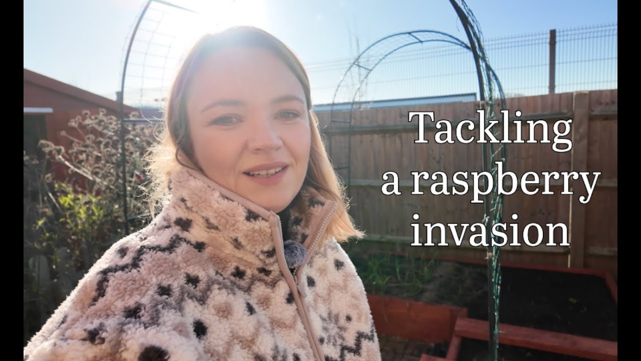 December Garden Tour 2025 🌿 Raspberry Invasion, Raised Bed Clear Out & Winter Prep