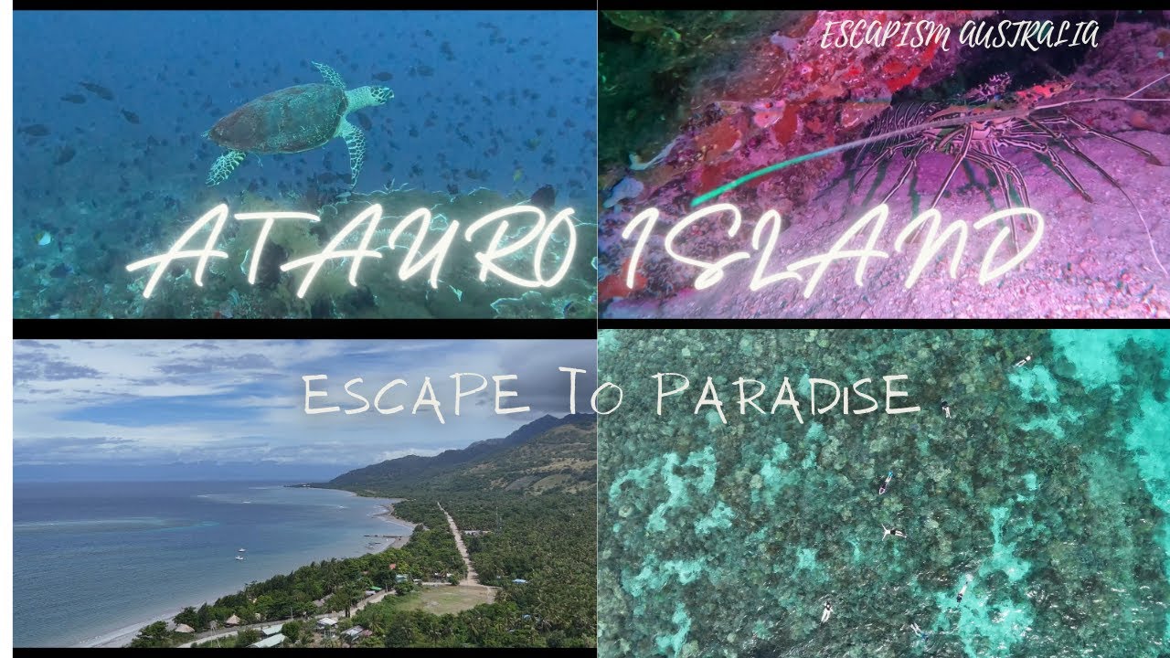 ATAURO ISLAND ESCAPE; Exploring A Hidden Gem In East Timor. #escapism #travel #scubadiving