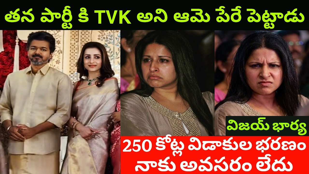 Actor Vijay Wife Sangeetha Emotional Comments Divorce Issue | విజయ్ భార్య సంగీత ఎమోషనల్ కామెంట్స్ 