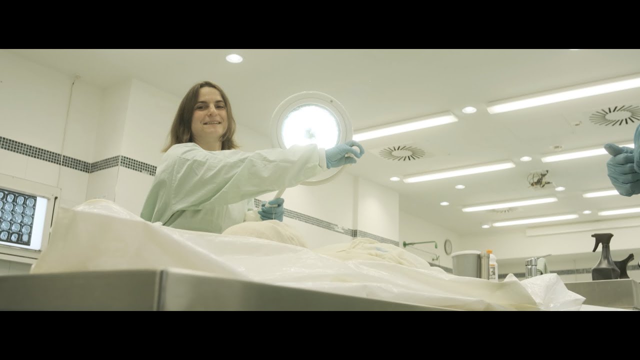 Die Anatomie / Inside Klinikum Nürnberg