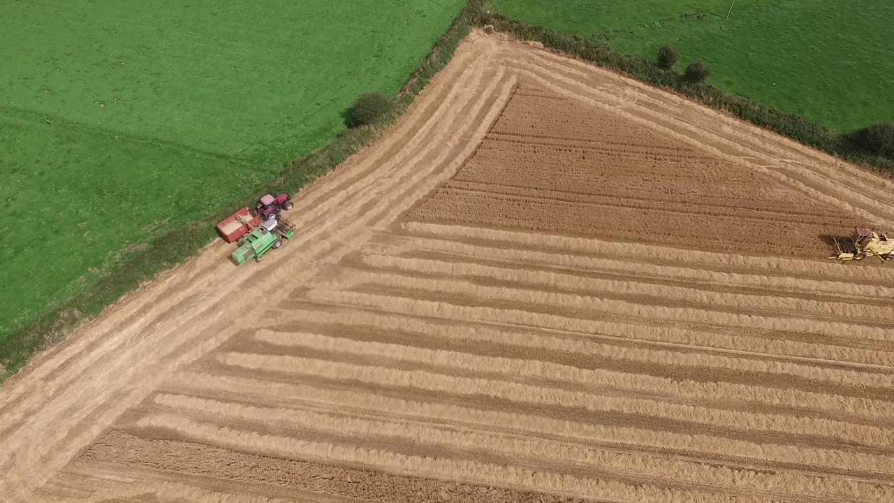 DEUTZ  FAHR   2385   AND  NEW HOLLAND  1530  COMBINES .   CORK