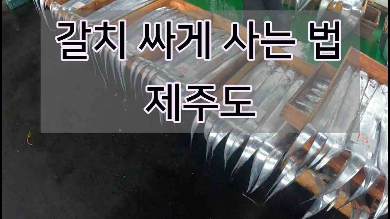 갈치 싸게 사는 방법 - 제주도에서 제일 싼곳
