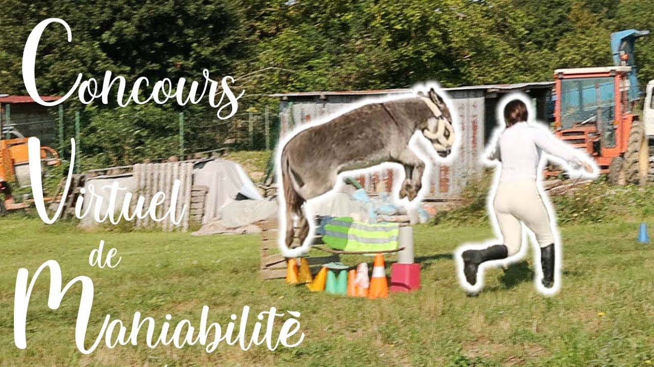 Best of Concours Virtuel de Maniabilité 2024 🥇 [5]