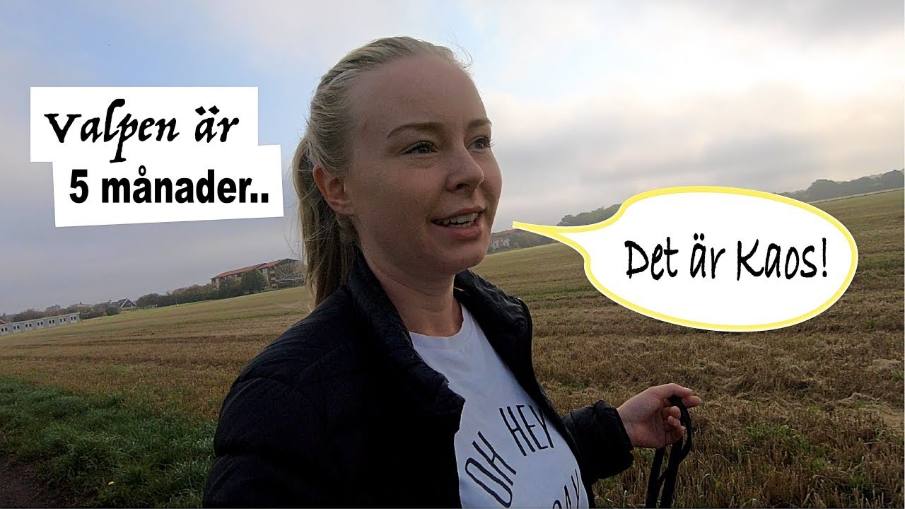 ValpVlogg 10 - Såhär känns det när Valpen är 5 månader...