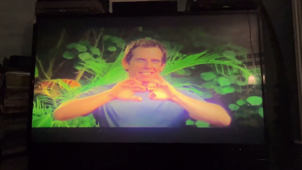 Opening to Bee Movie 2008 DVD (Slow Motion)