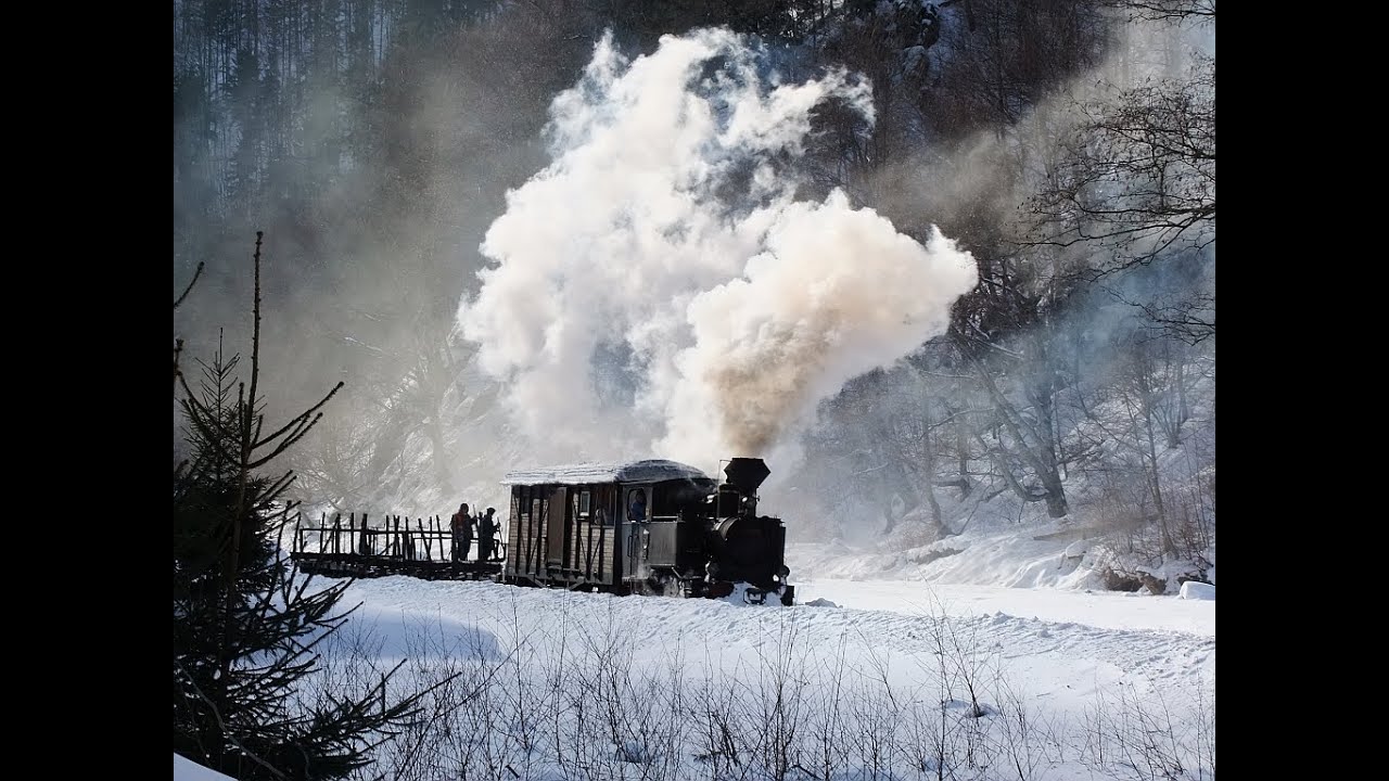Wassertalbahn Februar 2012 - Mocanita Viseu de Sus - Rum&auml;nien