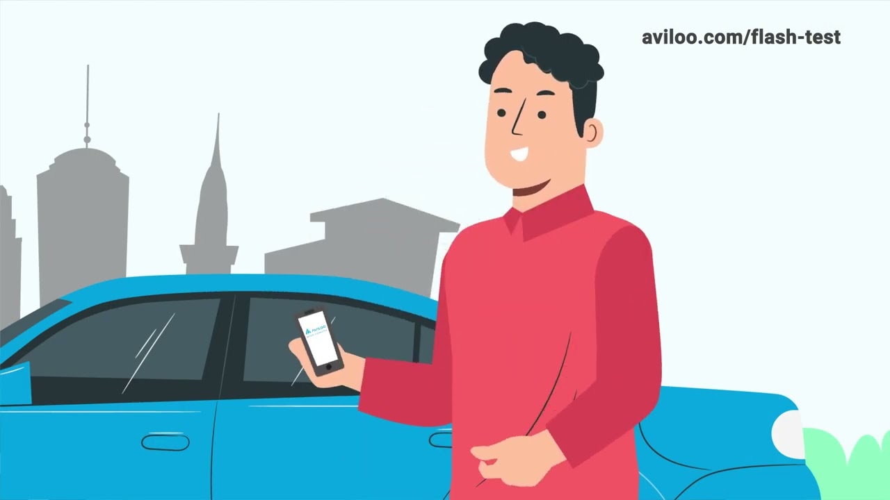 AVILOO FLASH Test - Your Battery at a Glance