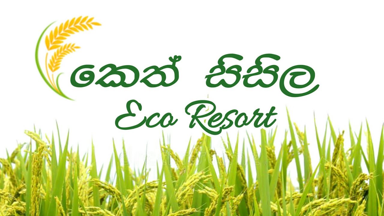 Kataragama KETH SISILA ECO RESORT| කතරගම කෙත් සිසිල එකෝ රිසෝට් | Ruhunu Wandana