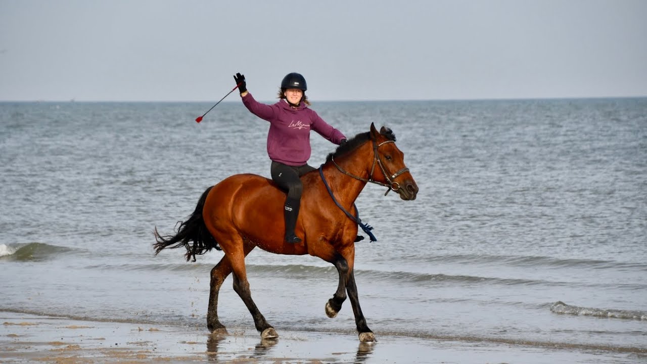 PONYHOF PONYKAMP 2023 (deel 2)