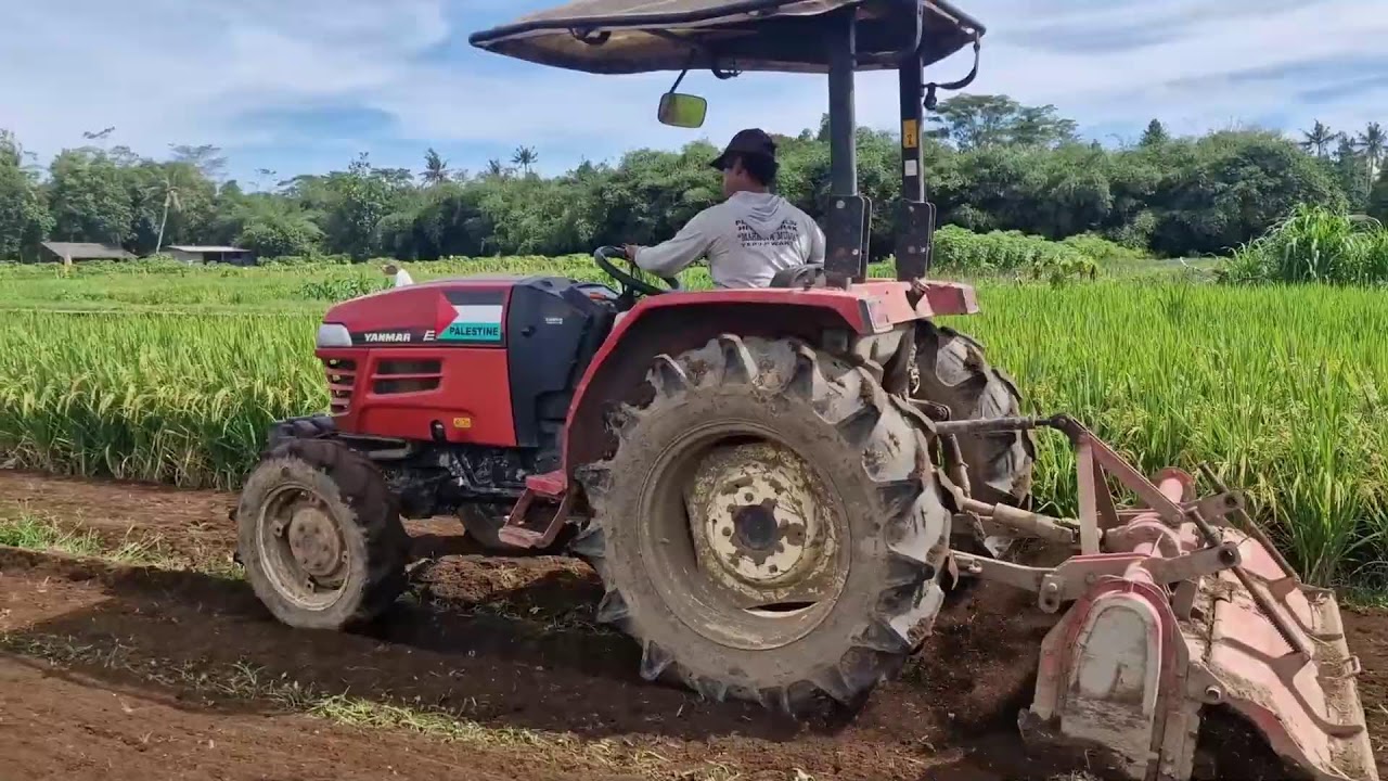 MODERN FARMER PLOWS RICE FIELD PERFECTLY WITH JONDER MACHINE!-agriculture farming