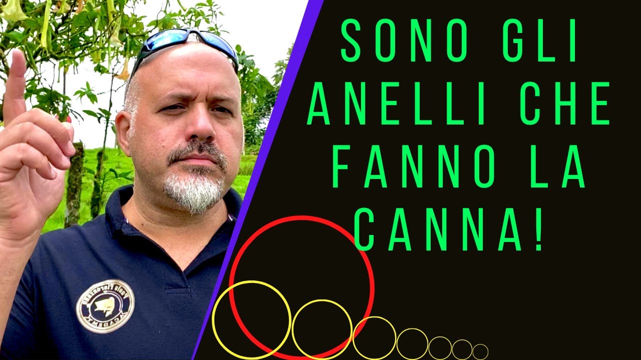 Sono gli Anelli che fanno La Canna! 😉