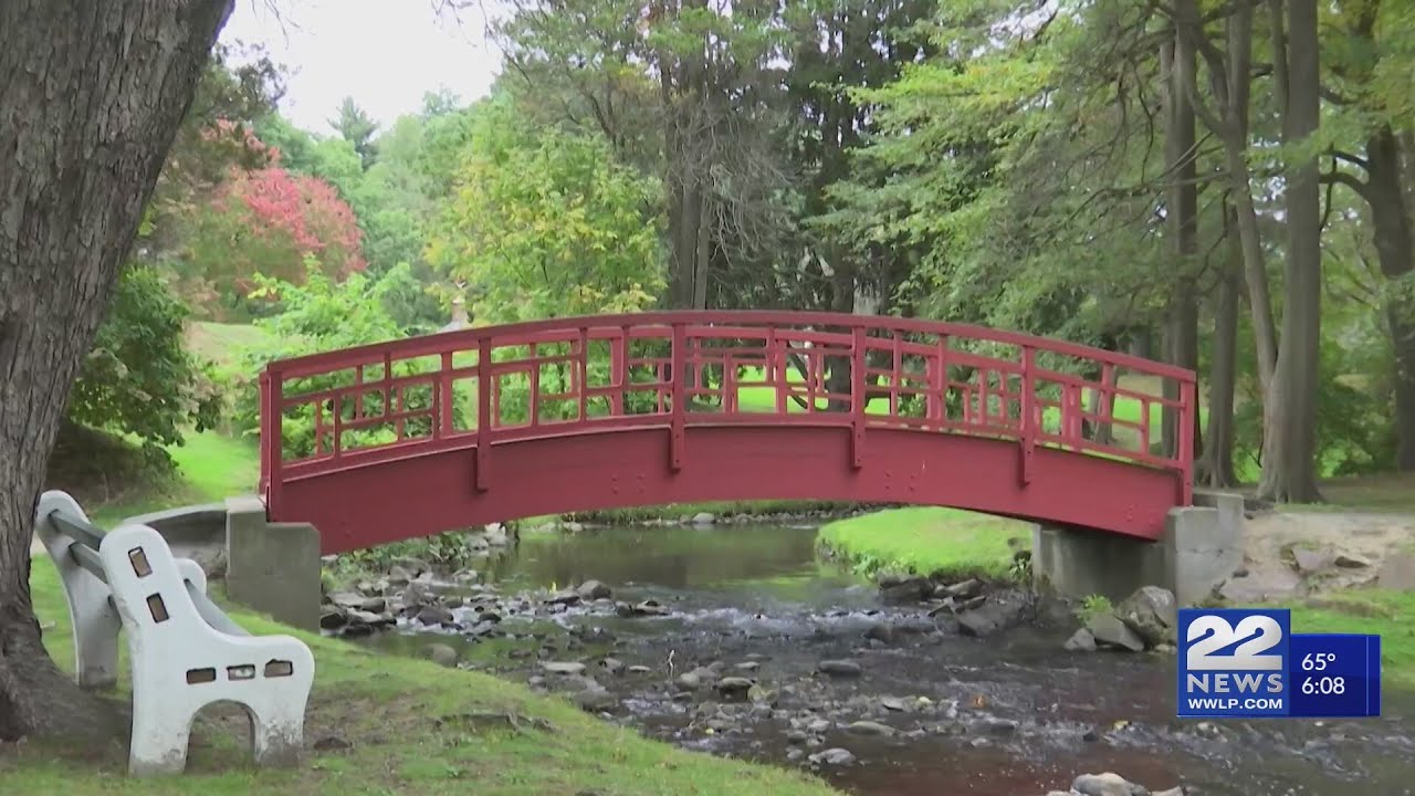 Summer rain may affect when we see fall colors