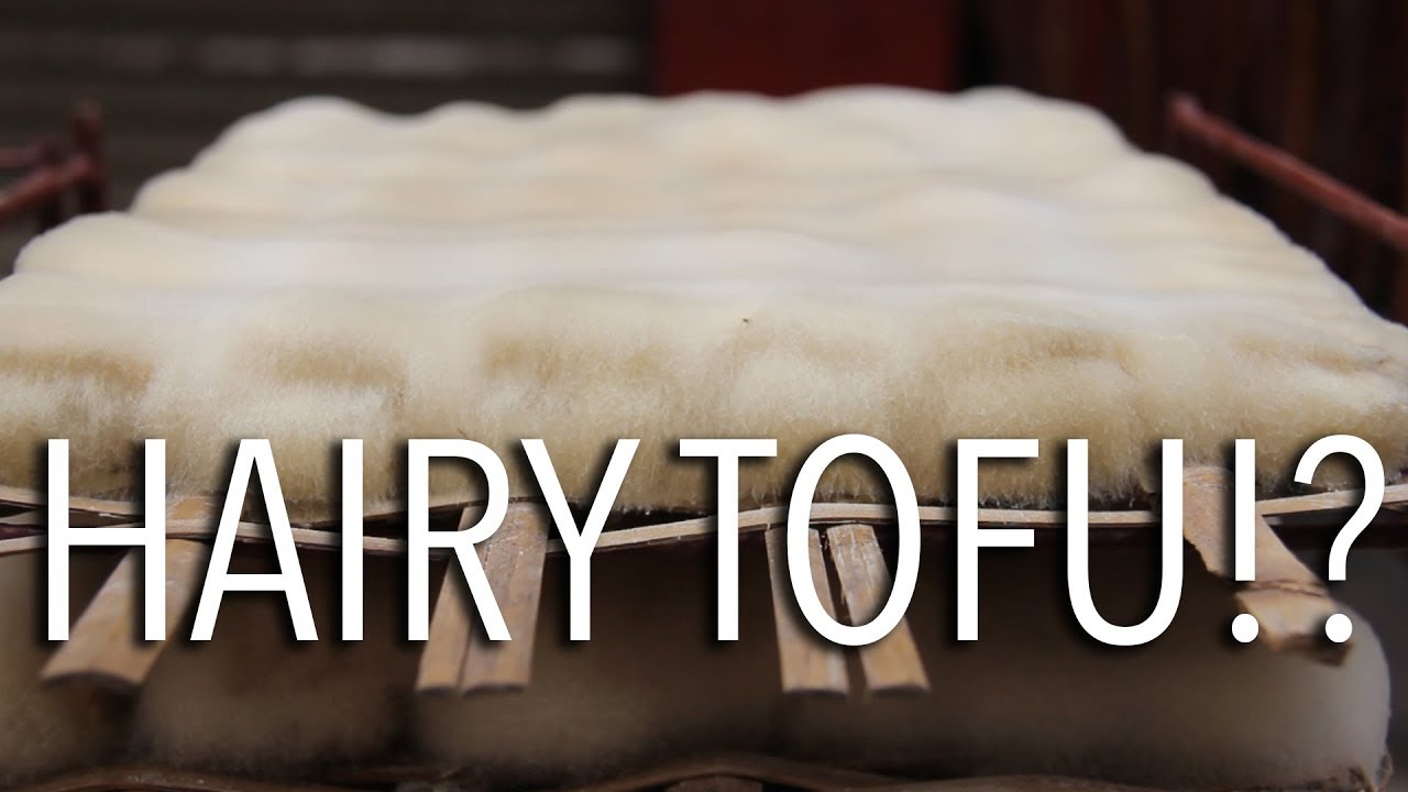 What Is Hairy Tofu & Why The Heck Am I Eating It?