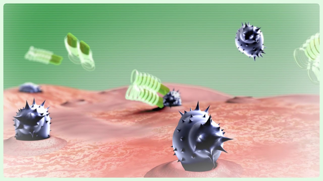 How Cimzia (certolizumab pegol) Works in Crohn's Disease