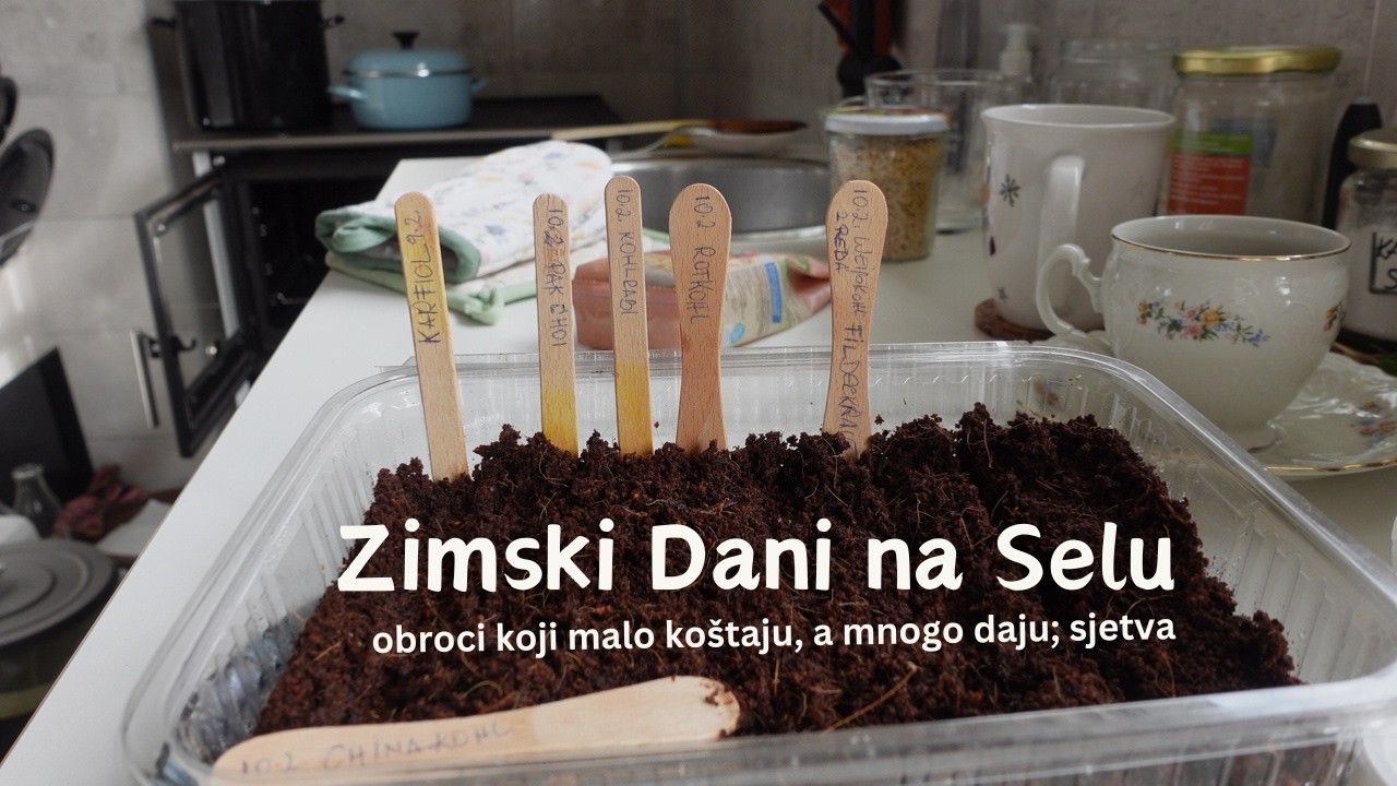 🪵Šta kuham ove zime 🥘 topli i jefitini obroci od naše zimnice i mir uz šporet, prva sjetva godine